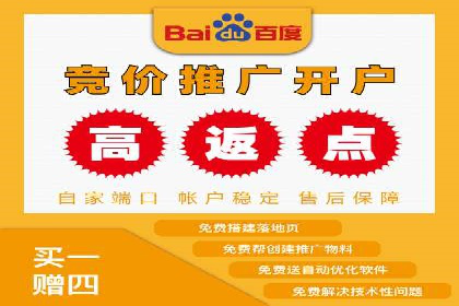 百度竞价广告的创意执行：成功案例详解